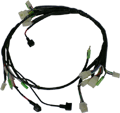 Whole Wire Harness f