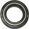 Bearing 6905Z (or 69