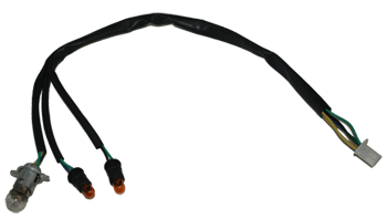 Rear Lights Wire harness with Light Bulbs for FB549 (X-19)