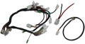 Whole Wire Harness f
